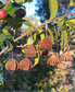 Leather Rustic Basket Earrings