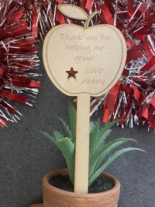 Teacher Appreciation Gifts - Flower Pot & Apple Post